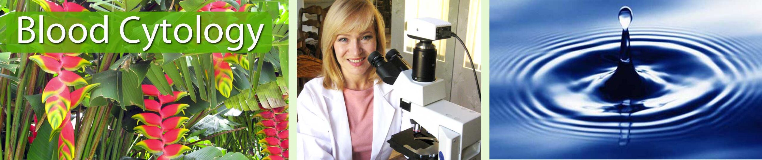 Blood Cytology Logo